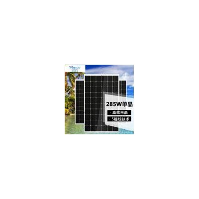 单晶硅太阳能板(TSM-DD05A)