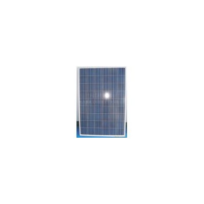 多晶硅太阳电池(BLUESUN)