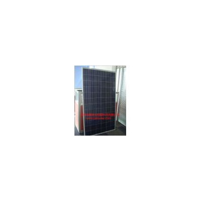 [新品] 多晶硅230W太阳能板