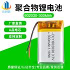 聚合物锂电池(300mAh)