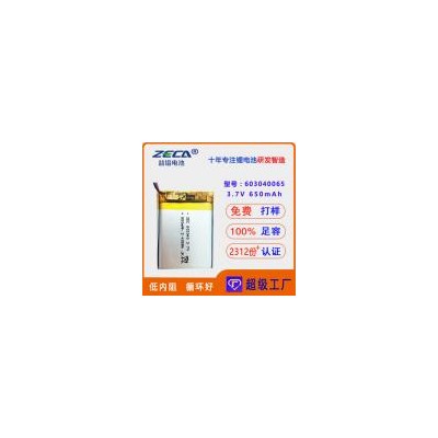 聚合物软包锂电池(3.7V650mAh)