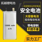 锂电池(12000mah)