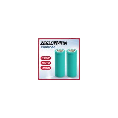 锂电池(3200Mah)