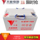 [新品] 天能电池(天能6-EVF-100)