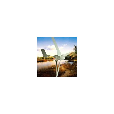 风力发电机(CFW-1000)