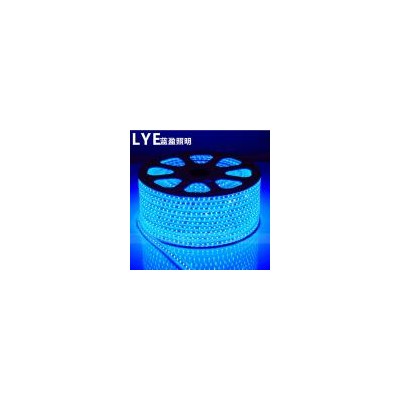 LED灯带(LYE-GD023)