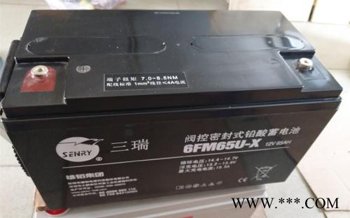 三瑞蓄电池12V65AH新疆总代理 图片产品规格及描述