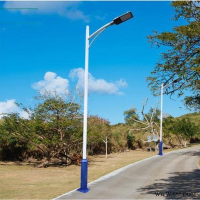太原6米杆太阳能60瓦路灯价格 英谷光电 太阳能发电板生产厂家 太阳能LED路灯组装配件