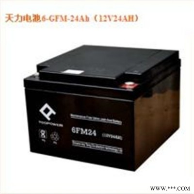 天力蓄电池ups不间断电源TOOPOWER控阀式铅酸蓄电池eps电源6GFM-24 12V24AH 太阳能光伏配套电池