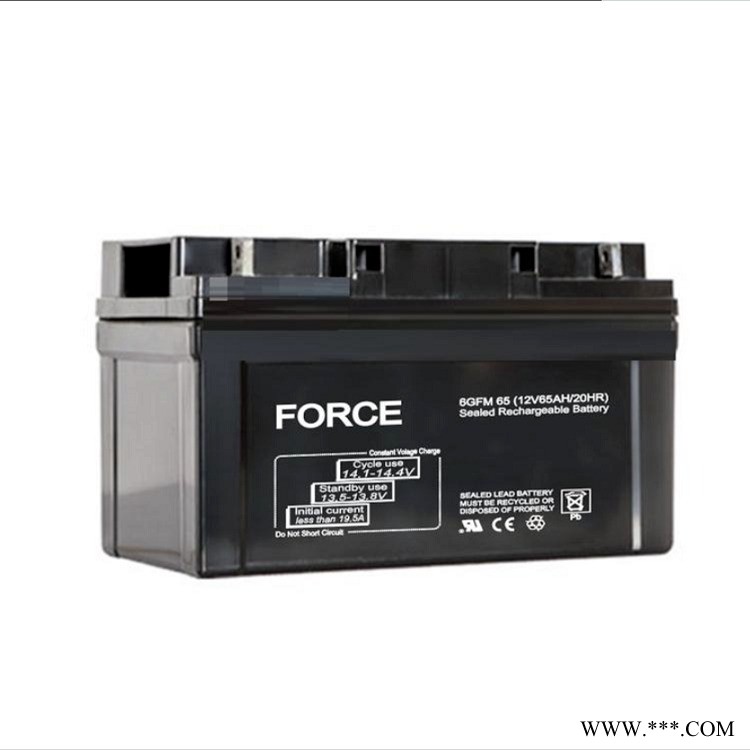 FORCE强势蓄电池6GFM65阀控式铅酸蓄电池12V65AH光伏太阳能系统直流屏主机配套