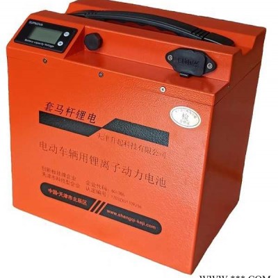 北京低速锂电池组厂家-天津升起科技锂电池