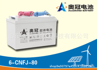 奥冠胶体太阳能蓄电池6-CNFJ-80（12V80AH）路灯引线蓄电池示例图1