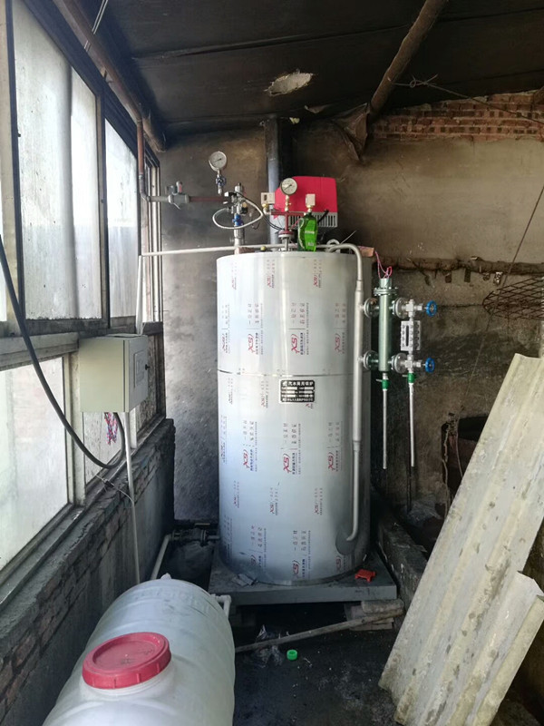 0.3吨生物质蒸汽发生器 YDZ立式低碳锅炉